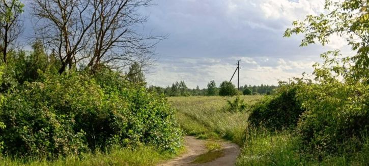 Земельный участок деревня Великое Поле