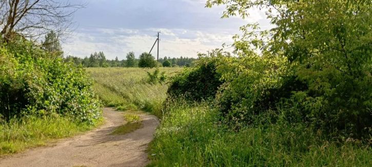 Земельный участок деревня Великое Поле