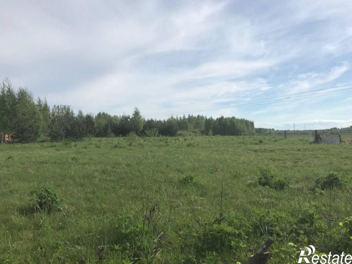 Земельный участок городское поселение Гдов