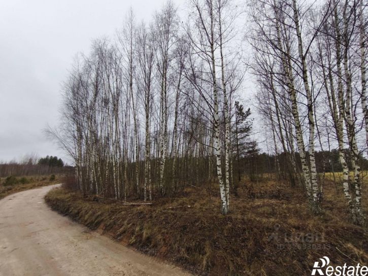 Земельный участок Приозёрная улица, 37,  д. 37