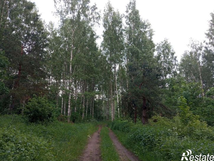 Земельный участок