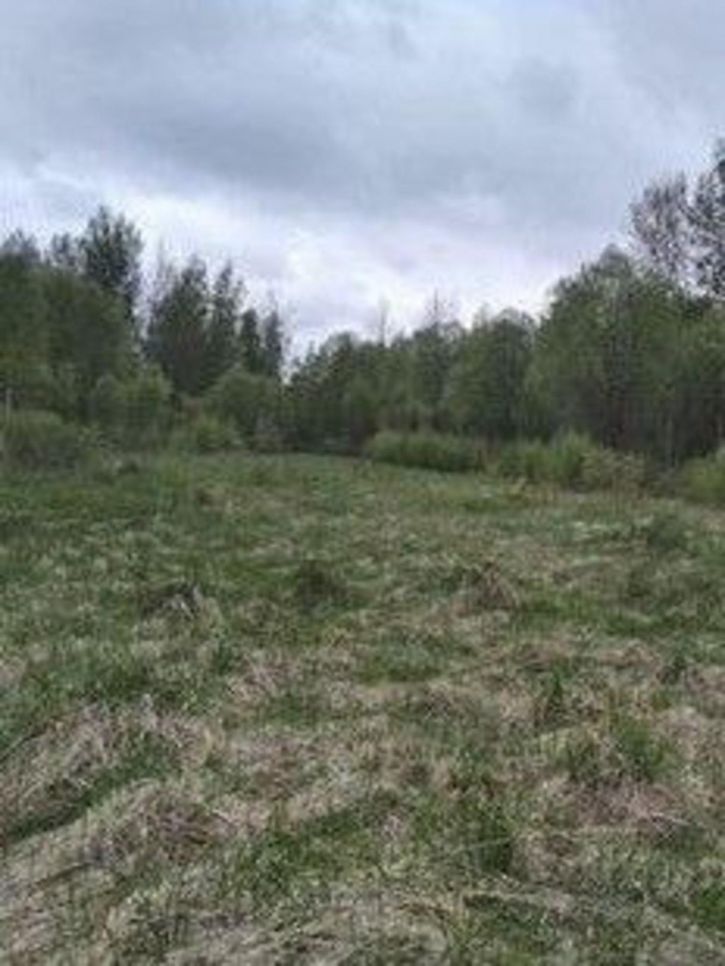 Земельный участок деревня Олисово