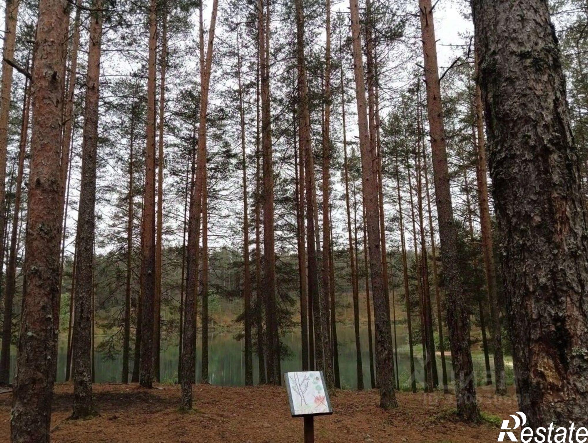 Купить дачу, дом, коттедж за 2 800 000 рублей