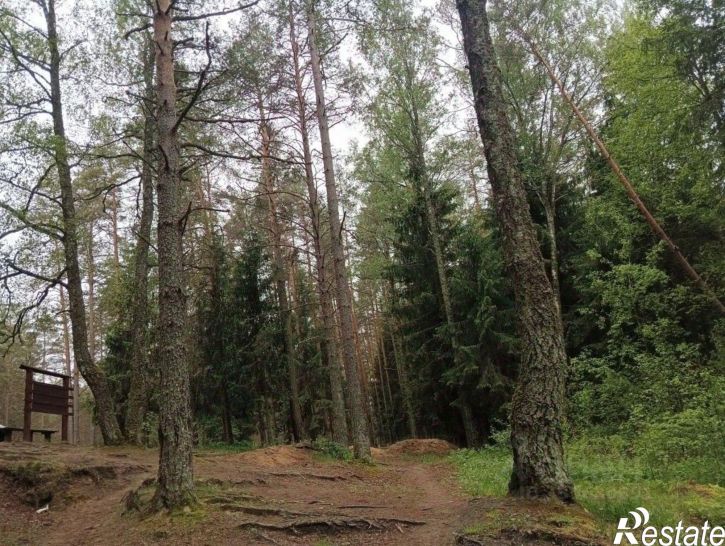 Коттедж/дом