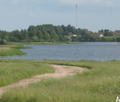 земля 300 сот Палкинский район