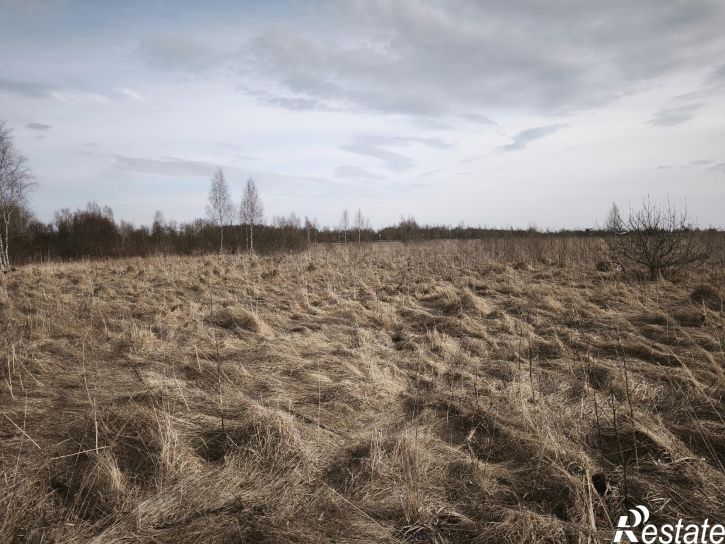 Земельный участок деревня Печки