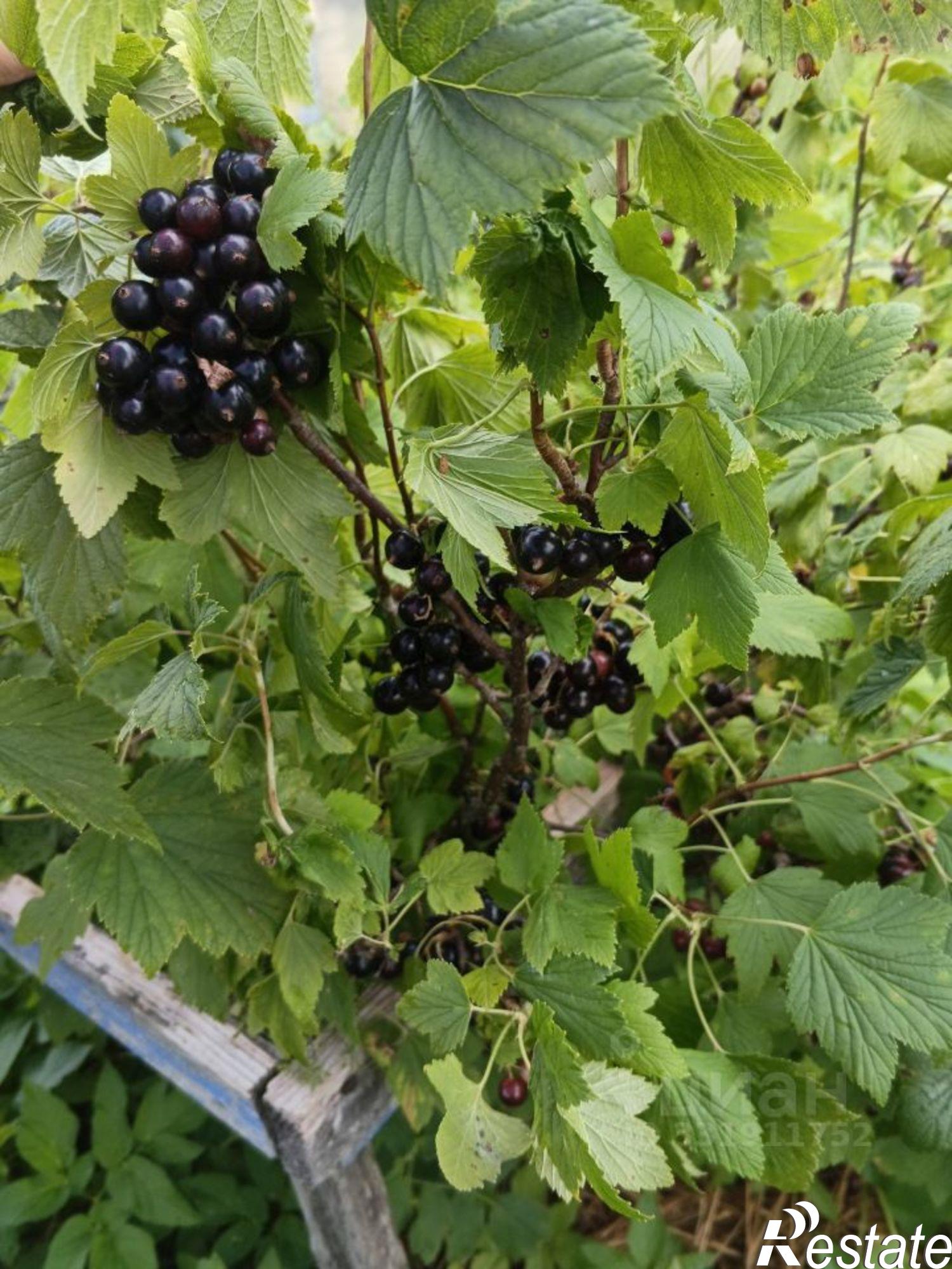 Купить дачу, дом, коттедж за 850 000 рублей
