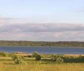 земля 1200 сот Центральная улица
