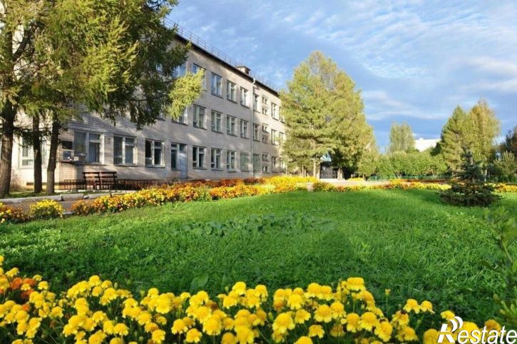 3-комн квартира рабочий посёлок Дедовичи