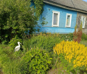 коттедж 30 кв м ул Освобождения, 20