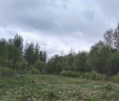 земля 15 сот деревня Олисово