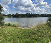 земля 263 сот 