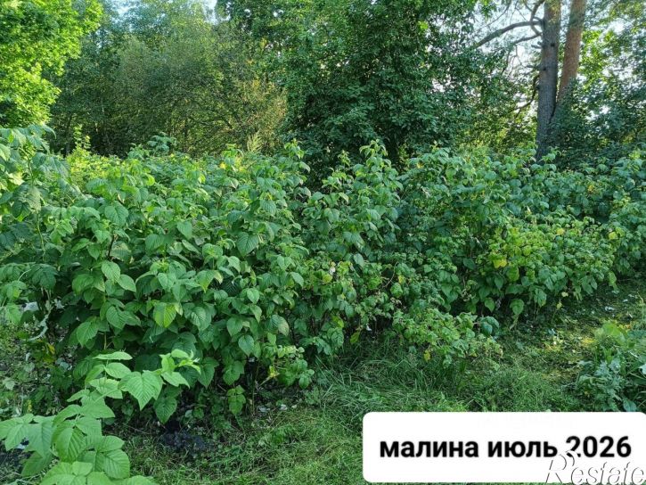 Коттедж/дом