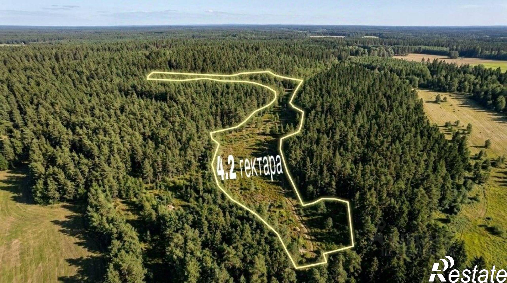 Купить землю, земельный участок за 10 500 000 рублей