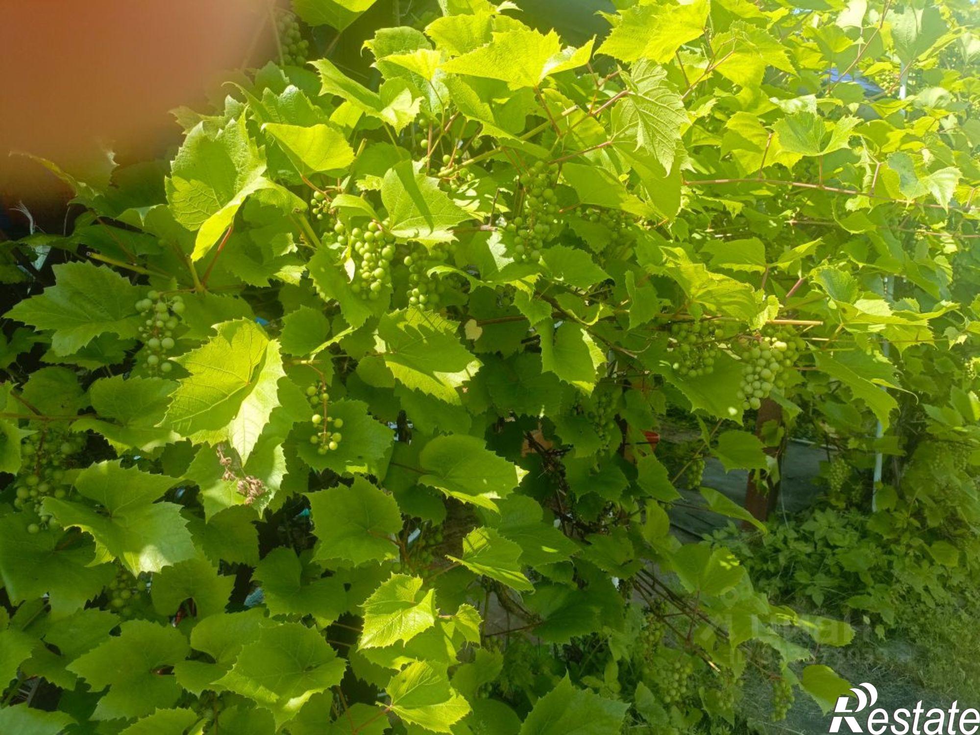 Купить дачу, дом, коттедж за 650 000 рублей
