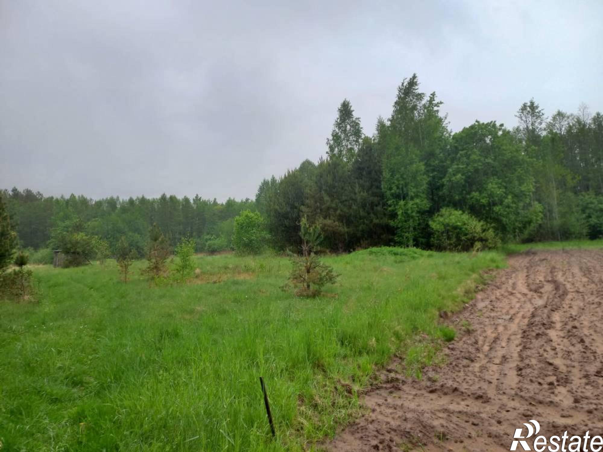 Купить землю, земельный участок за 790 000 рублей на Береговая улица