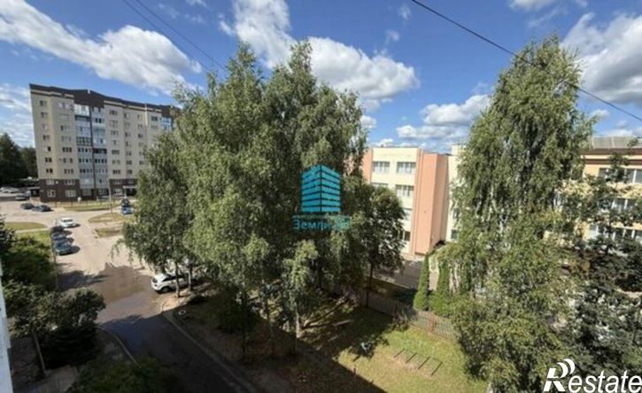 2-комн квартира Великие Луки, улица Дружбы, 33к1