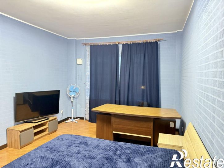 1-комн квартира Владимирская улица, 3В,  д. 3В