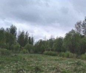 земля 15 сот деревня Олисово