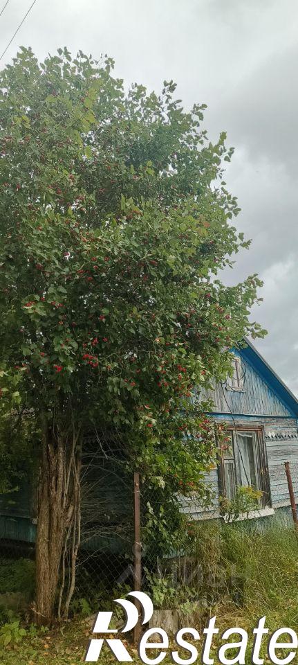 Купить дачу, дом, коттедж за 415 000 рублей