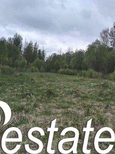 Купить землю, земельный участок за 280 000 рублей на деревня Олисово