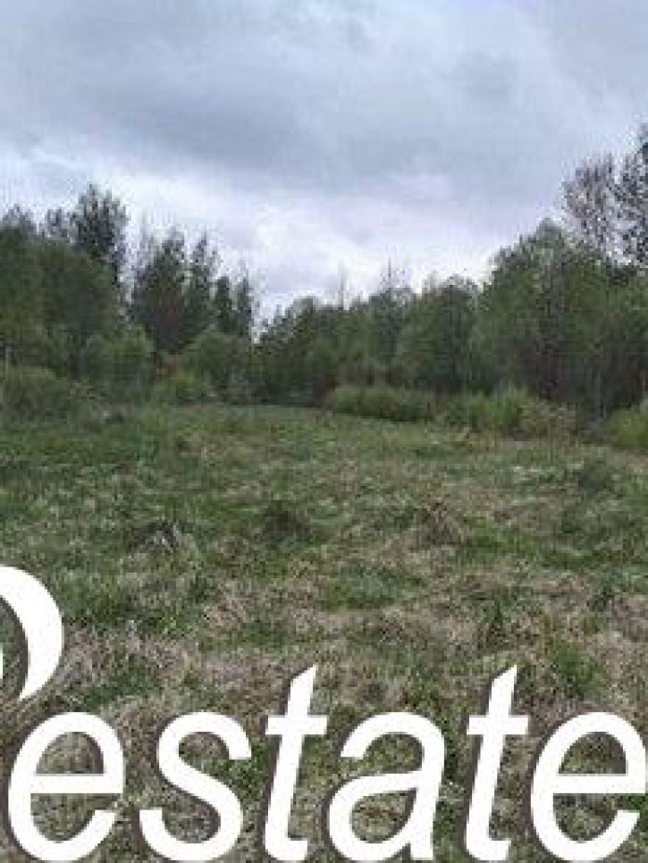 Земельный участок деревня Олисово